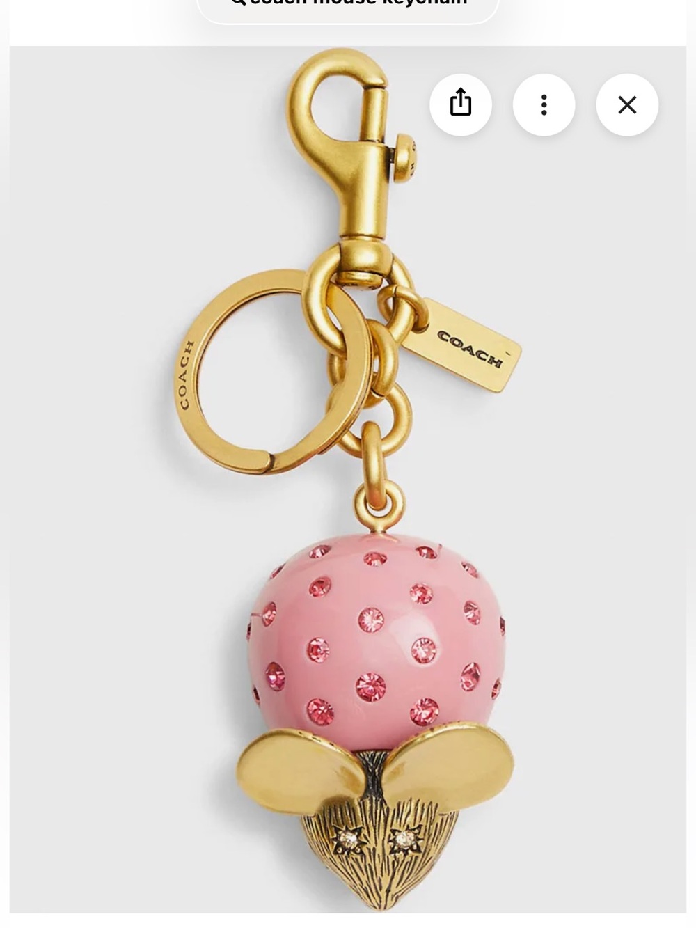 Coach Pink Mouse Bag & Key Charm